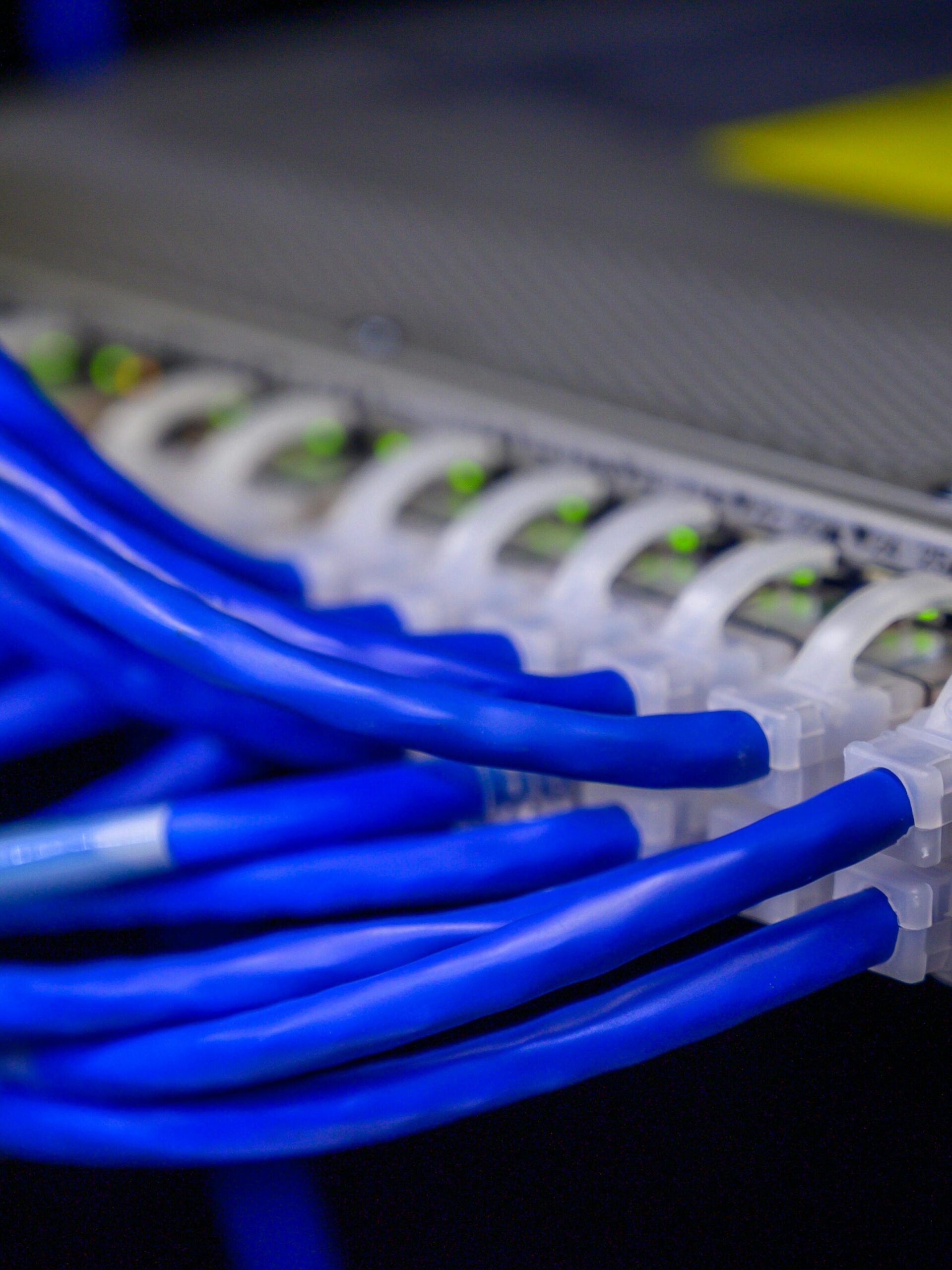Detailed view of blue ethernet cables connected to a network switch in a data center.
